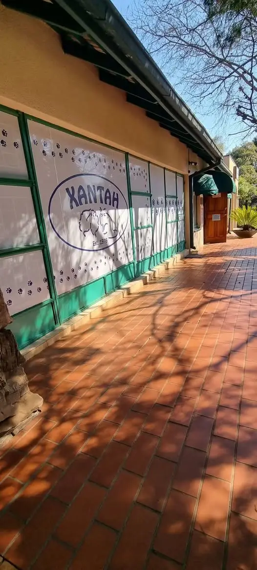The kennel block's covered walkway beside the garden