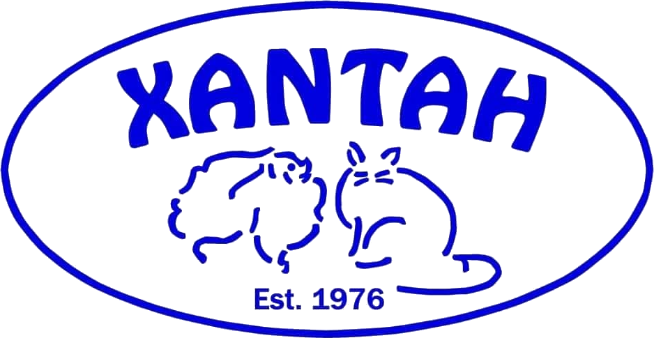 Xantah